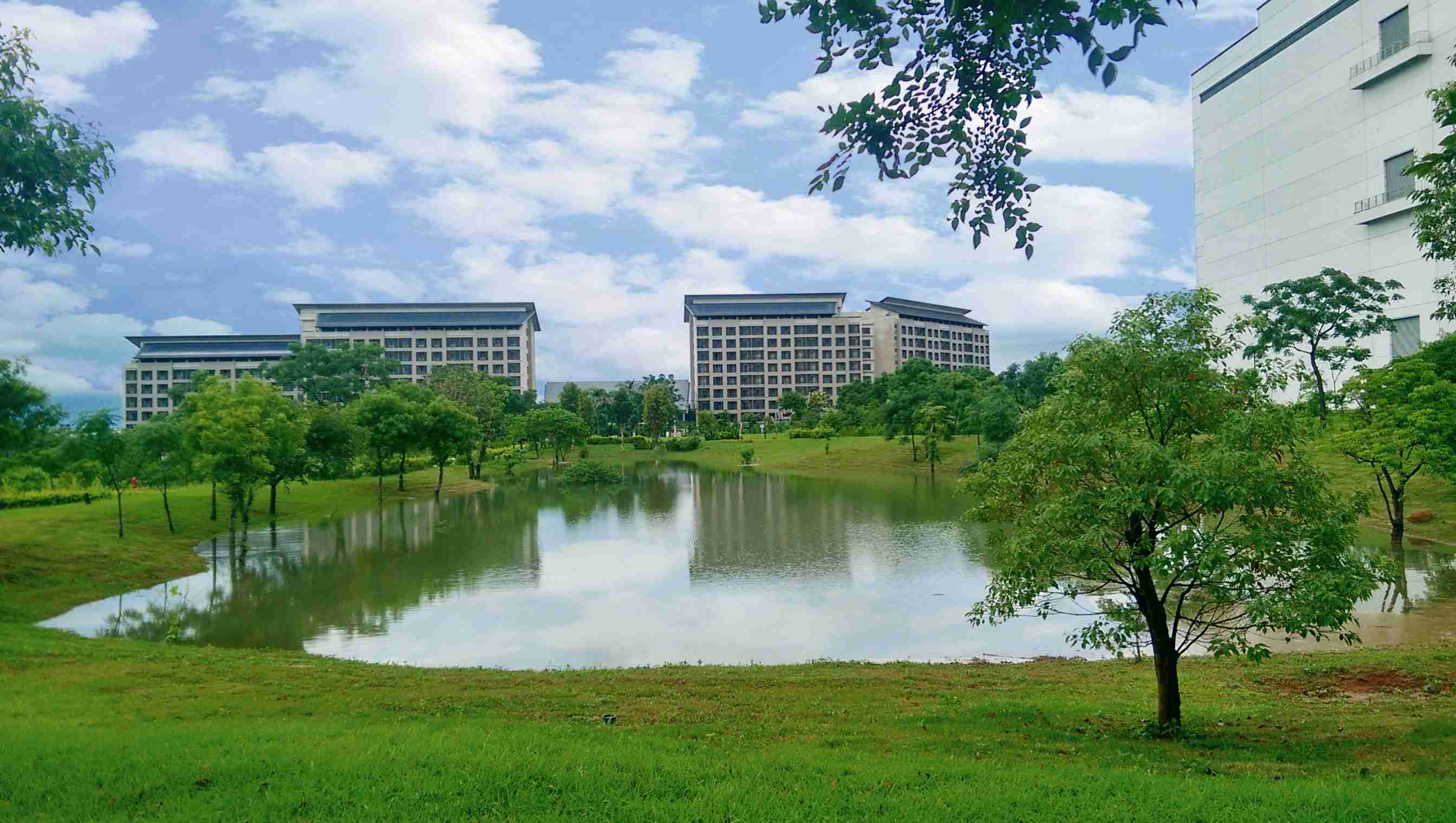 巨星国际响应国际倡议生物多样性趋势，，，首次发布TNFD自然相关财务揭露报告书，，，，擘划及开展巨星国际生物多样性政策之承诺，，，，逐步迈向与自然和谐共生